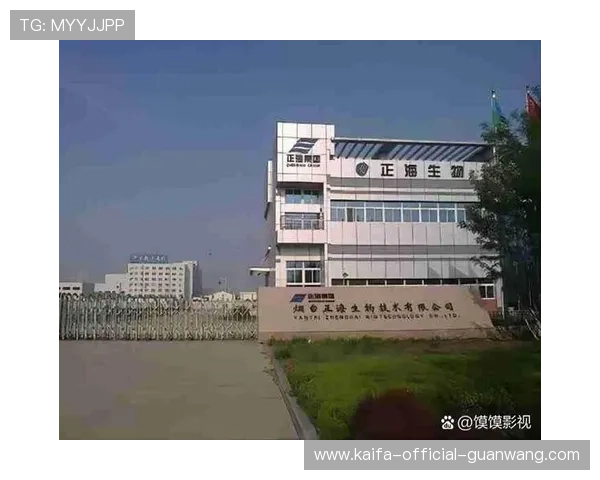 凯发集团有限公司：优化管理体系实现企业高效运营的关键措施